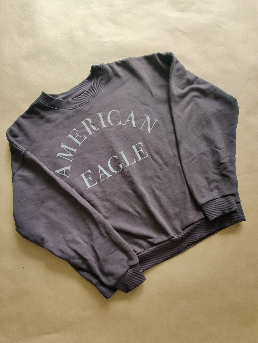 American Eagle Outfitters Women's Vintage Graphic Sweatshirt